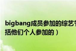 bigbang成员参加的综艺节目（bigbang参加的综艺节目包括他们个人参加的）