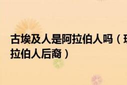 古埃及人是阿拉伯人吗（现代埃及人是古埃及人后裔还是阿拉伯人后裔）