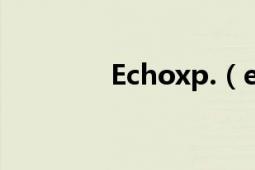 Echoxp.（echoxp怎么调）