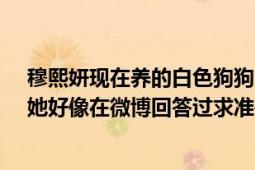 穆熙妍现在养的白色狗狗toffy品种是什么（记得是混种的她好像在微博回答过求准确答案狗的图片见下）