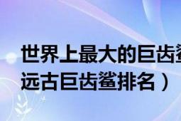 世界上最大的巨齿鲨有多长?（世界上最大的远古巨齿鲨排名）