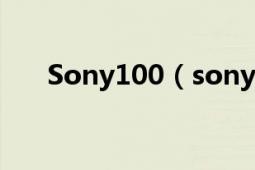 Sony100（sonyd100是金属机身吗）