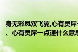 身无彩凤双飞翼,心有灵犀一点通的意思是（身披彩凤双飞翼、心有灵犀一点通什么意思）