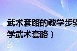 武术套路的教学步骤有哪些（如何根据图解自学武术套路）