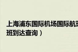 上海浦东国际机场国际航班动态查询（上海浦东机场国际航班到达查询）