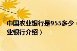 中国农业银行是955多少（95599是什么银行95599中国农业银行介绍）