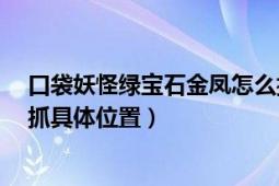 口袋妖怪绿宝石金凤怎么抓（口袋妖怪绿宝石7.0金凤在那抓具体位置）