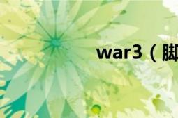 war3（脚本作弊方法）