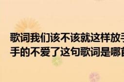 歌词我们该不该就这样放手了不爱了（我们该不该就这样放手的不爱了这句歌词是哪首歌）