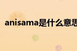 anisama是什么意思（Anisama什么意思）