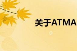 关于ATMA的（怎么用啊）