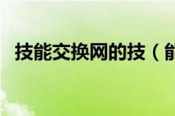 技能交换网的技（能交换网主要内容介绍）