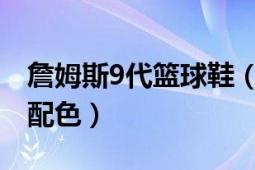 詹姆斯9代篮球鞋（詹姆斯九代战靴最好看的配色）