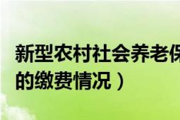 新型农村社会养老保险（怎样在网上查询自己的缴费情况）