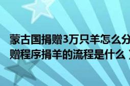 蒙古国捐赠3万只羊怎么分配（蒙古国正式启动3万只羊的捐赠程序捐羊的流程是什么）