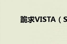 跪求VISTA（SP2的激活工具！）