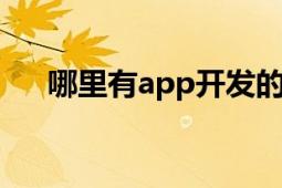 哪里有app开发的公司（哪里有a网站）