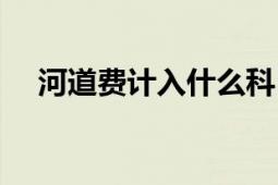 河道费计入什么科目（河道费会计分录）