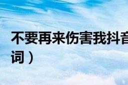 不要再来伤害我抖音（《不要再来伤害我》歌词）