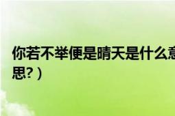 你若不举便是晴天是什么意思（你若不举,便是晴天是什么意思?）