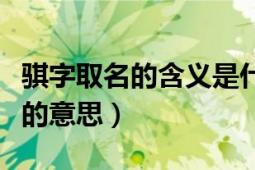 骐字取名的含义是什么（骐源字的含意每个字的意思）