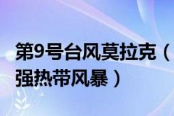 第9号台风莫拉克（台风莫拉克 2003年第9号强热带风暴）