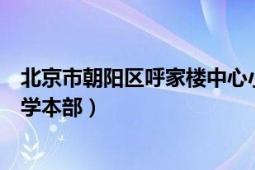 北京市朝阳区呼家楼中心小学（北京市朝阳区呼家楼中心小学本部）