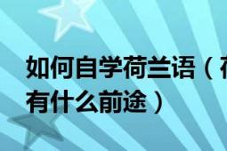 如何自学荷兰语（荷兰语自学容易吗?学出来有什么前途）