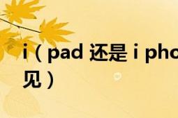 i（pad 还是 i phone4呢拜托懂得人给点意见）