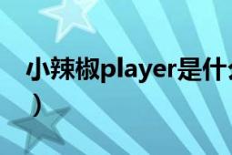 小辣椒player是什么型号（小辣椒Q3的介绍）