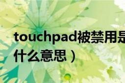 touchpad被禁用是什么意思（touchpad是什么意思）