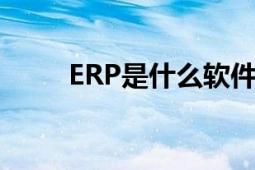 ERP是什么软件（erp是什么东西）