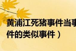 黄浦江死猪事件当事人自述（上海松江死猪事件的类似事件）