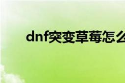 dnf突变草莓怎么获得（哪里爆率高）