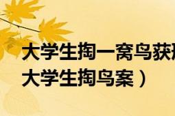 大学生掏一窝鸟获刑10年半庭审（7.14河南大学生掏鸟案）