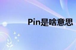 Pin是啥意思（pin6什么意思）