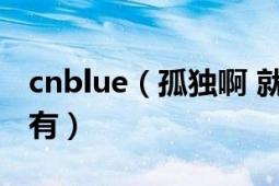 cnblue（孤独啊 就是单身这首歌的歌词那个有）