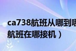 ca738航班从哪到哪的（从英国到北京ca938航班在哪接机）