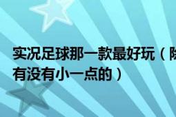 实况足球那一款最好玩（除了实况还有什么好玩的足球游戏 有没有小一点的）