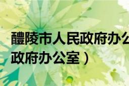 醴陵市人民政府办公室正副主任（醴陵市人民政府办公室）