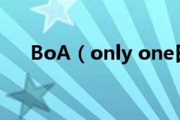 BoA（only one日文版中文音译歌词）