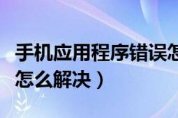 手机应用程序错误怎么办（手机应用程序错误怎么解决）