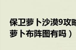 保卫萝卜沙漠9攻略（保卫萝卜沙漠9攻略金萝卜布阵图有吗）