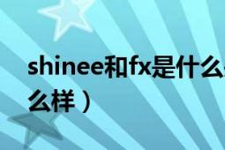 shinee和fx是什么关系（shinee和fx前景怎么样）