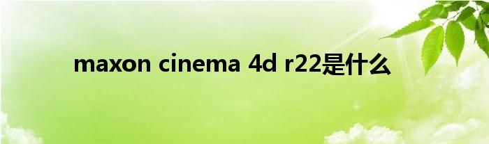 what is maxon cinema 4d r22